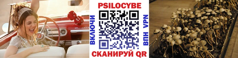 Псилоцибиновые грибы ЛСД  Фатеж 